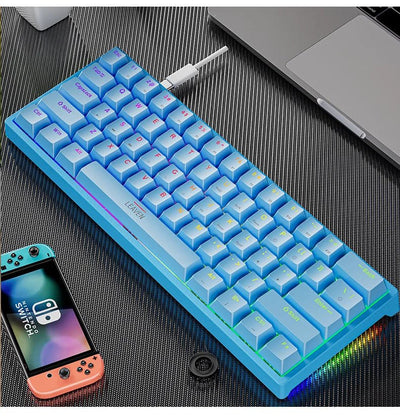 61 - Key RGB Mechanical Keyboard – Hot - Swappable Red & Blue Switch, Type - C Wired - TheElecnest