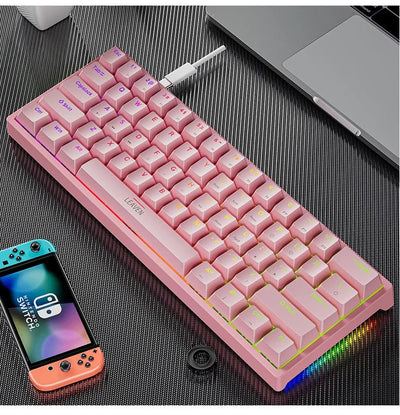 61 - Key RGB Mechanical Keyboard – Hot - Swappable Red & Blue Switch, Type - C Wired - TheElecnest