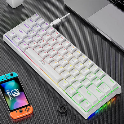 61 - Key RGB Mechanical Keyboard – Hot - Swappable Red & Blue Switch, Type - C Wired - TheElecnest
