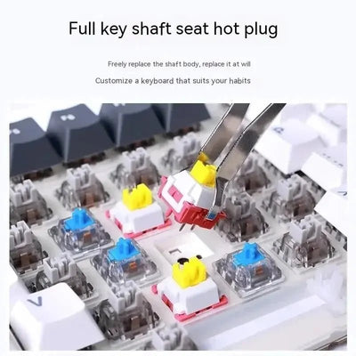 AULA F87Pro Mechanical Keyboard – Hot - Swappable Switches, RGB Backlight, Wireless 2.4GHz - TheElecnest
