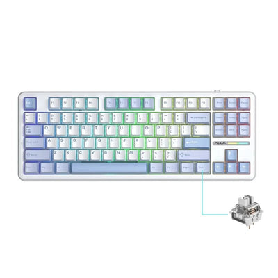 AULA F87Pro Mechanical Keyboard – Hot - Swappable Switches, RGB Backlight, Wireless 2.4GHz - TheElecnest